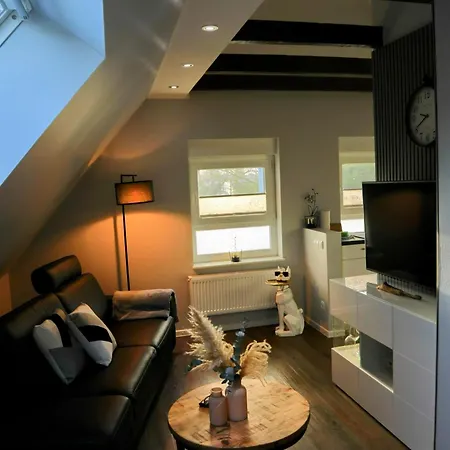 Apartment Eine Sehr Gemuetliche Dachgeschoss